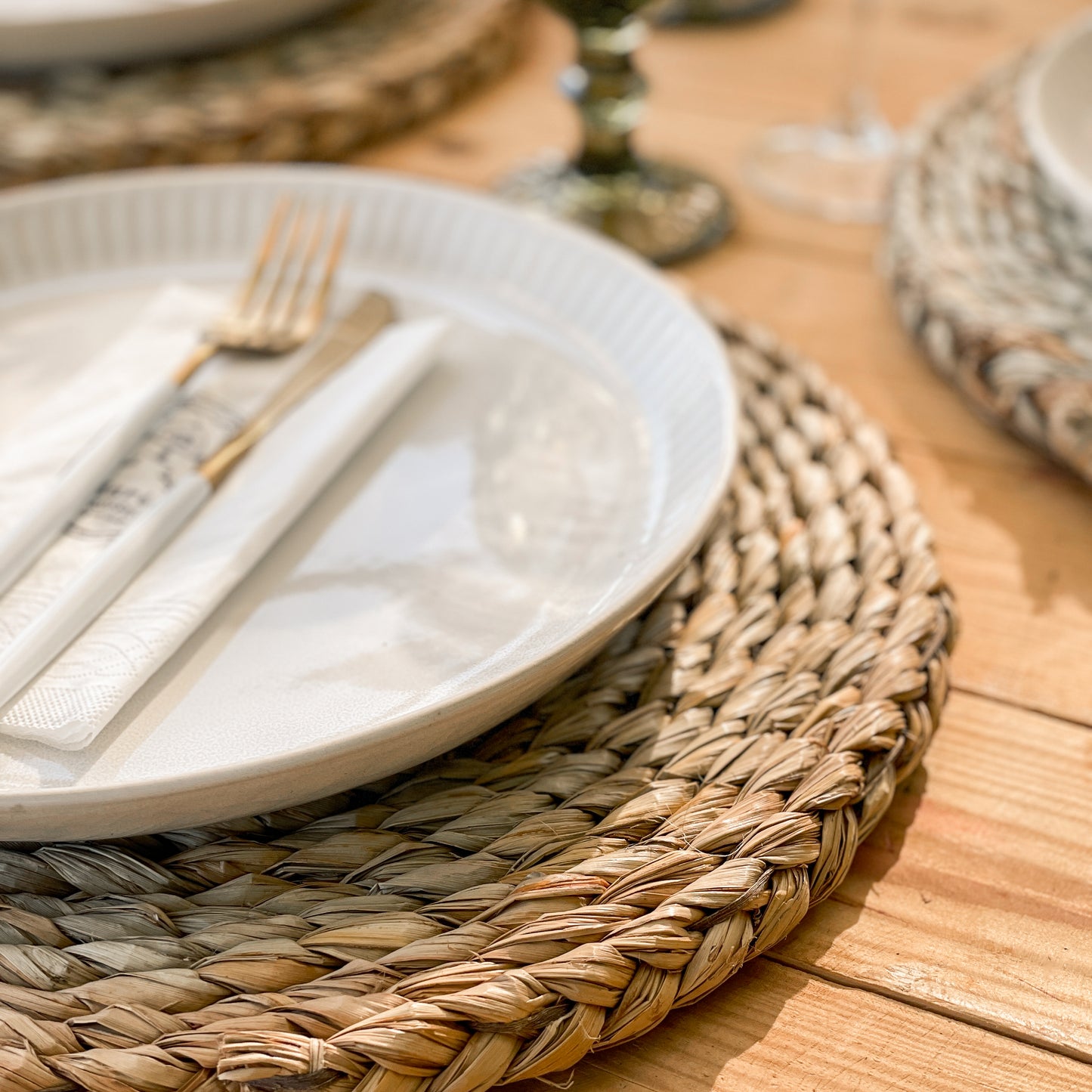 Thick Grass Placemats